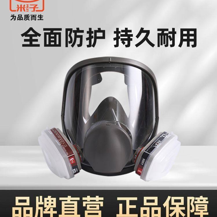 6800防毒面具有毒气体全