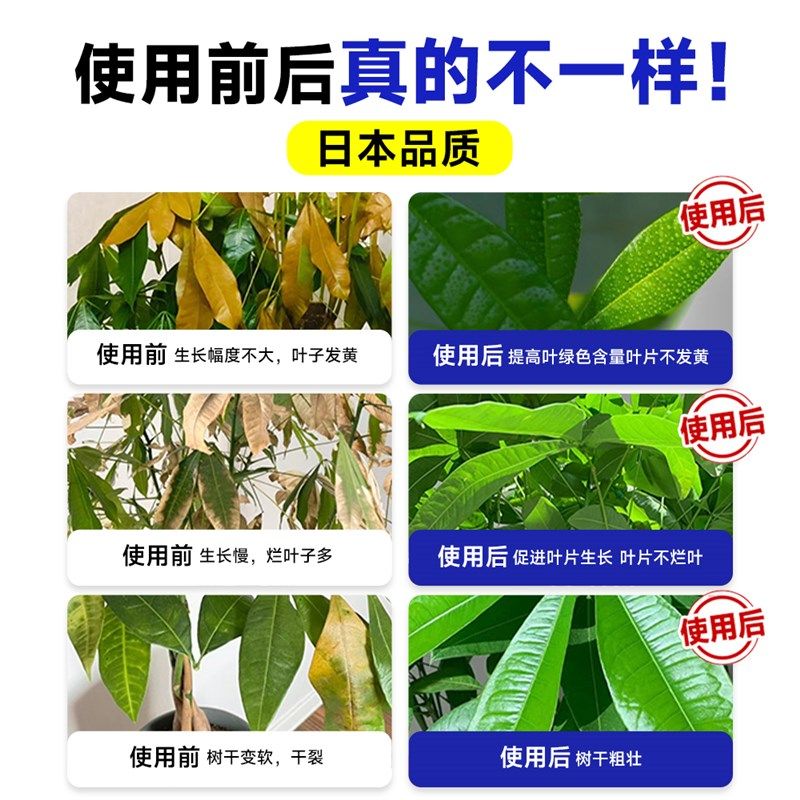 植物再生剂浓缩营养液植物通用型发财树水培植物室内花卉盆栽专用,鲜花速递/花卉仿真/绿植园艺,家庭园艺肥料,淘宝优惠券,粉丝福利购,淘宝优惠卷