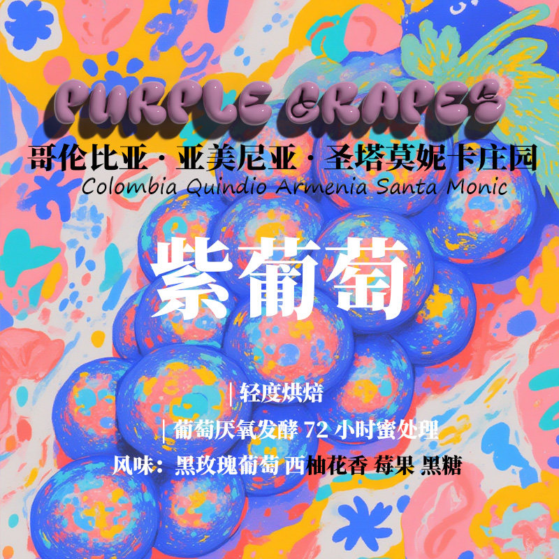 哥伦比亚圣塔莫妮卡庄园 紫葡萄 葡萄厌氧发酵蜜处理手冲咖啡豆