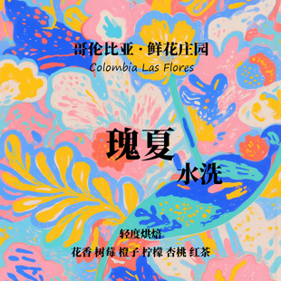哥伦比亚Colombia鲜花庄园瑰夏Geisha水洗手冲单品咖啡豆下单烘焙