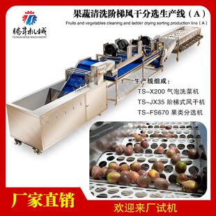 源头厂家生产线 供应果蔬清洗阶梯风干分选生产线 水果加工设备