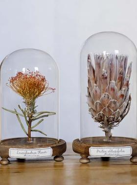 玻璃列罩植物标本SEK干花文艺复古家居摆件书架桌物面陈创意礼科