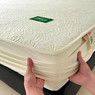 20软席可机子丝洗 A类母婴级高端冰凉席件套床笠款 冰三豆豆XY