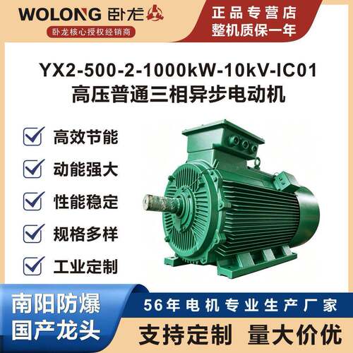 卧龙YX2-500-2-1000kW-10kV-IC01-B3压普通三相异步电动机