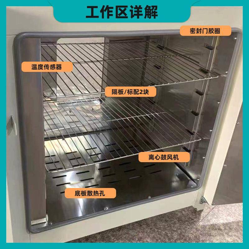 养猪场前后双开门对开门干燥箱烘箱电热恒温鼓风烤箱烘干箱