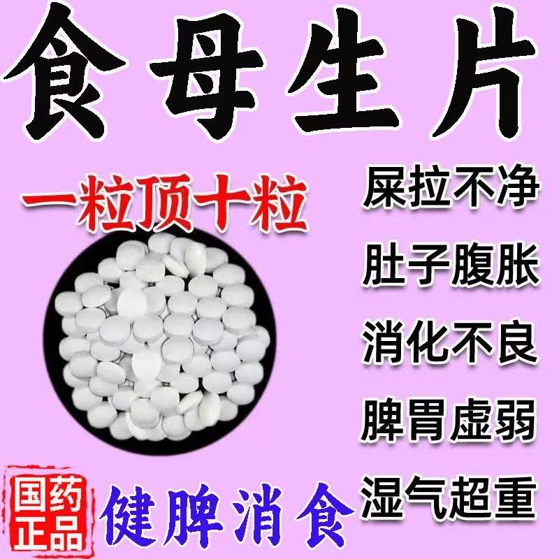 老牌子食母生消食片酵母片人用维生素b族提高新陈代谢减脂KB