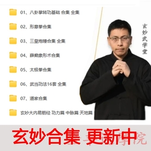 玄妙八卦掌转功基础 玄妙大合集 三皇炮锤 薛癫象形术 形意太极