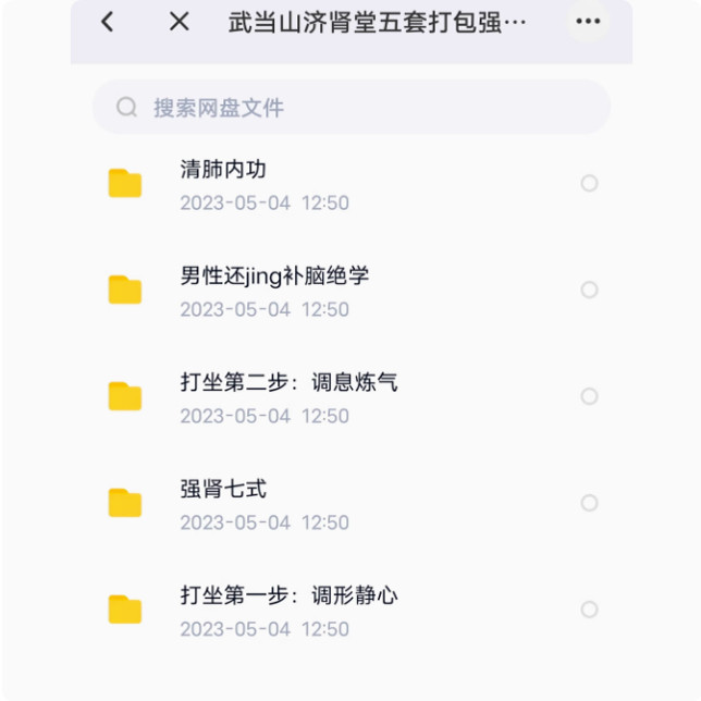 武当山济肾堂五套强肾七式打坐清FEI功等视频课程