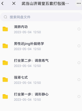 武当山济肾堂五套强肾七式打坐清FEI功等视频课程