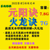 元 蛰龙徐金龙元 阳决 养生 阳诀火龙诀教程合集视频课 火龙决 哲龙