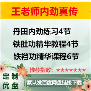 王老师 丹田内劲 铁裆功 铁肚功 教学视频合集
