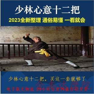 释德健传 少林心意十二把 心意把盘根1-5路 达摩易筋经课程