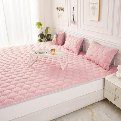 新款榻榻米床垫床护垫炕垫子床褥子四季通用大炕盖垫毯防滑可定制