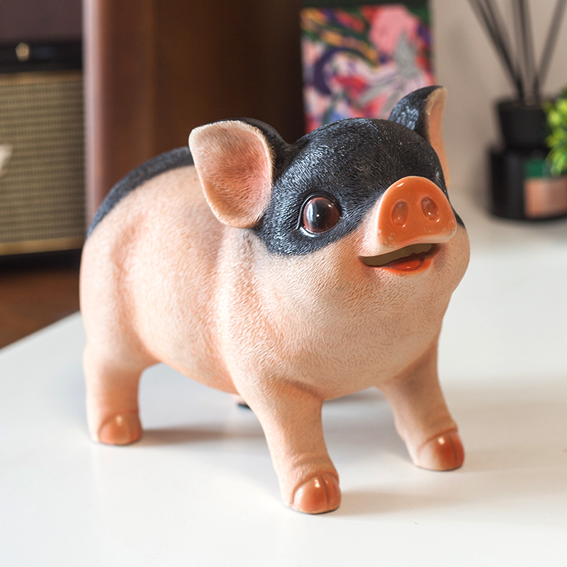 儿童存钱罐可爱小猪储钱罐卡通男孩女孩生日礼物小孩储蓄罐不可取