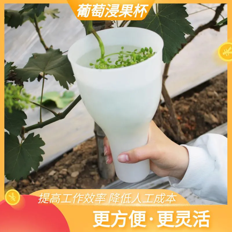 葡萄浸果蘸药杯膨点果杯花拉花沾药器拉穗器包邮新款果杯耐热大号