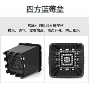 蓝莓专用盆加厚大号PP塑料花盆控根盆绿植花卉庭院果树铁树盆