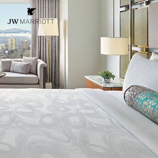 JW万豪酒店四件套GEO系列贡缎轻奢高级纯白色床单被套五星级床品