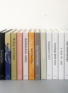 样板间儿童房装饰品真书猫咪绘本仿真书书柜宇航星空摆设