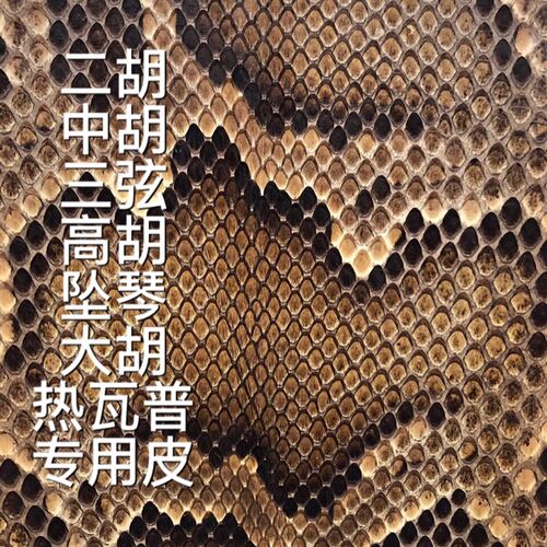 二胡蟒蛇皮 越胡 中胡 扎木念 热瓦普 坠琴 弦皮 胡 琴皮蒙皮