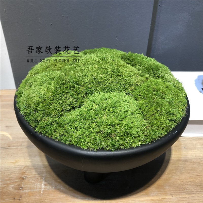 现代新复古脚盆绿色苔藓客厅  售楼部样板间茶几软