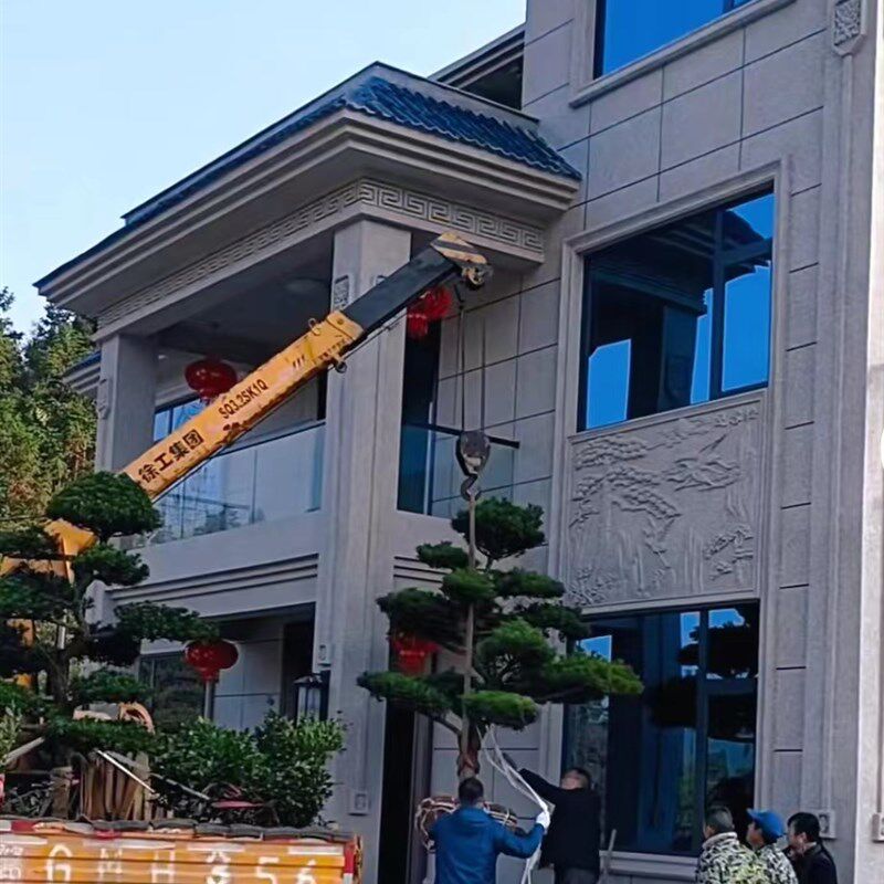 别墅外墙浮迎客松荷图饰泡沫浮雕角线条