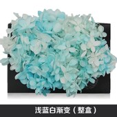 渐变木绣球 永生配家居插拍照道具手工制作真干材料