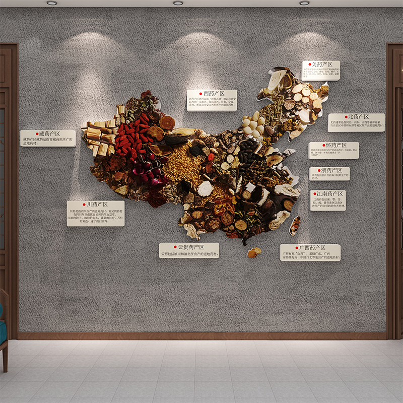 中医阁药材地图养生馆软装饰品挂画形象墙面装饰背景文化氛围布置