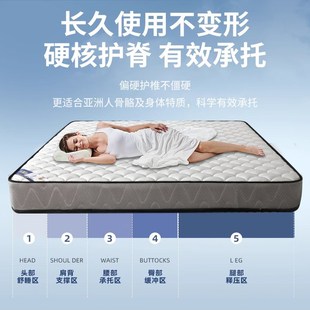 天然椰棕床垫出租房用家用.硬垫卧室定制护脊乳胶垫