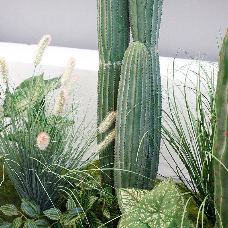仿真绿植沙生仙人柱 沙漠造景 橱窗装饰场景布置大型室内,家居饰品,仿真植物盆景,淘宝优惠券,粉丝福利购,淘宝优惠卷