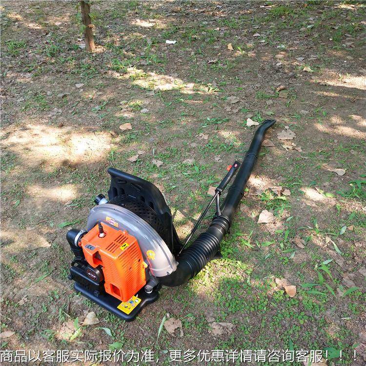 背负大率吹雪机 公路除尘力灭风式火机LF-50 两冲程汽油吹风功机,农机/农具/农膜,植保机械,淘宝优惠券,粉丝福利购,淘宝优惠卷