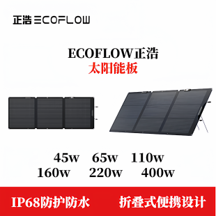 EcoFlow正浩太阳能板45W/60W/110W/160W/220W/400W可折叠便携充电