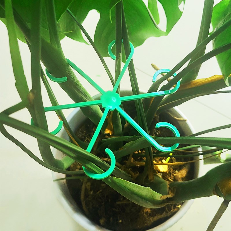 春雨支架防倒伏水培固定器绿植花龟背竹支撑杆天鹅海芋盆栽收拢器