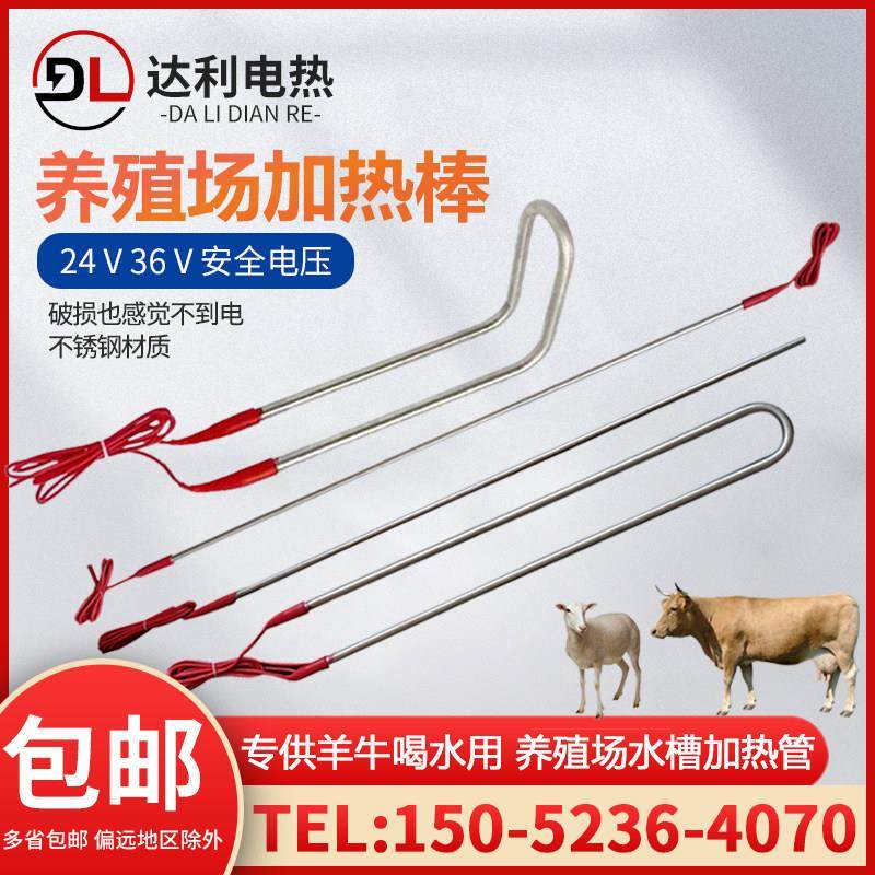 牛羊养殖场水槽低压潜水加热管U直型加热棒电热管24V36V500W800W