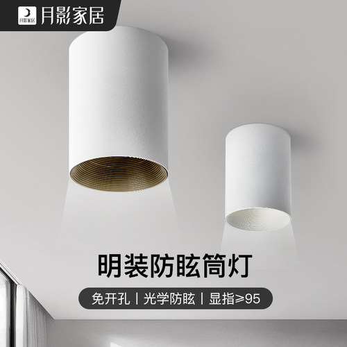 月影全光谱护眼防眩明白色圆形客厅玄天灯