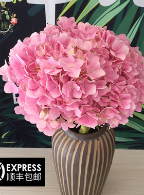 云南新鲜绣球花婚礼婚庆搭配家用送人节日用花办公室插花一件包邮