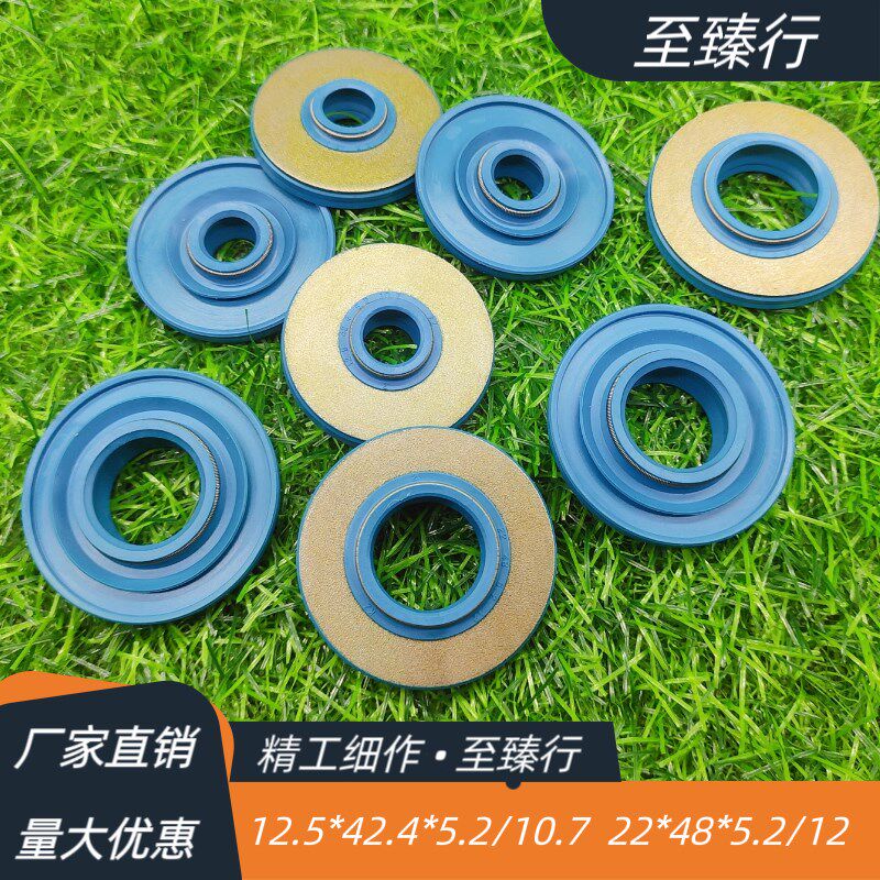 TEIN汽车减震绞牙避震器骨架油封12.5*42.4/22*48*5.2/10.7/12
