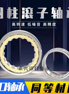 德国进口圆柱滚子轴承NU1024 1026 1028 1030 1032 1034 1036EM