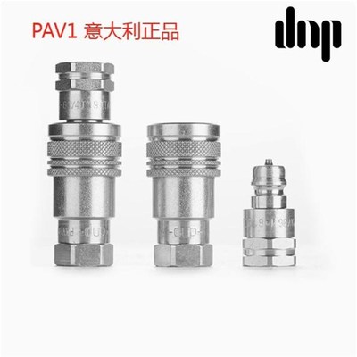PAV106 10 1313进口意大利dnp液压快速接头久保田锥面高压不泄露