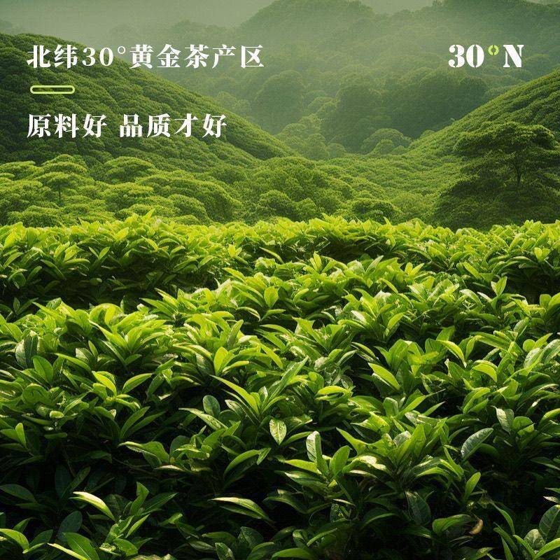 正宗新品宇治抹茶粉XL-2调味抹茶含糖包邮奶茶冲饮专用奶茶原料50