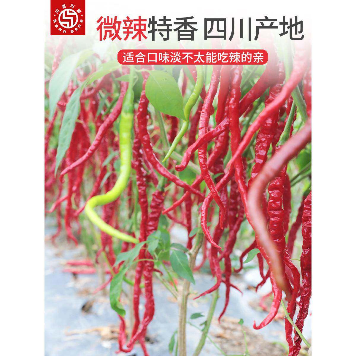 正宗辣条辣条微辣特香二荆条干辣椒海椒四川特产皱椒二金条不辣二