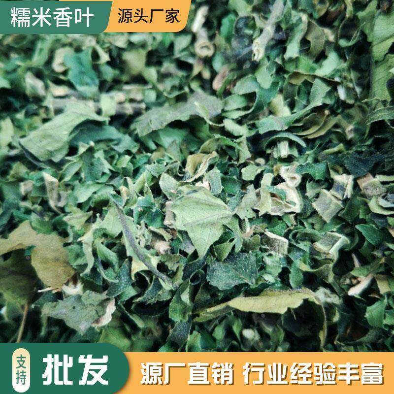 新日期云南西双版纳糯米香叶普洱茶伴侣糯米香草茶日晒纯叶子大口