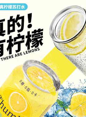 新货Thumbs/沙姆斯一片真柠檬原味苏打水无糖气泡水气泡饮料碳酸