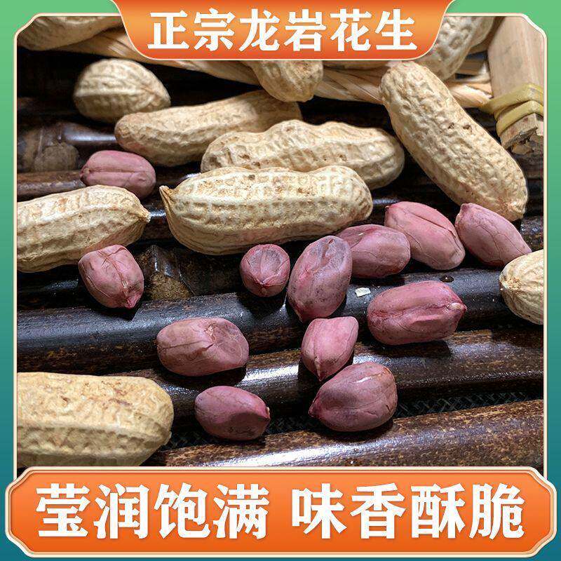 正宗龙岩花生湿烤花生正宗闽西特产水煮花生紫衣花生三四粒红衣皮
