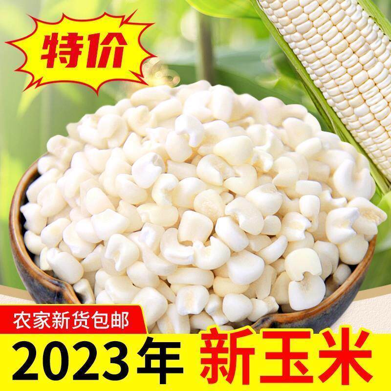 新日期广西忻城糯玉米头白