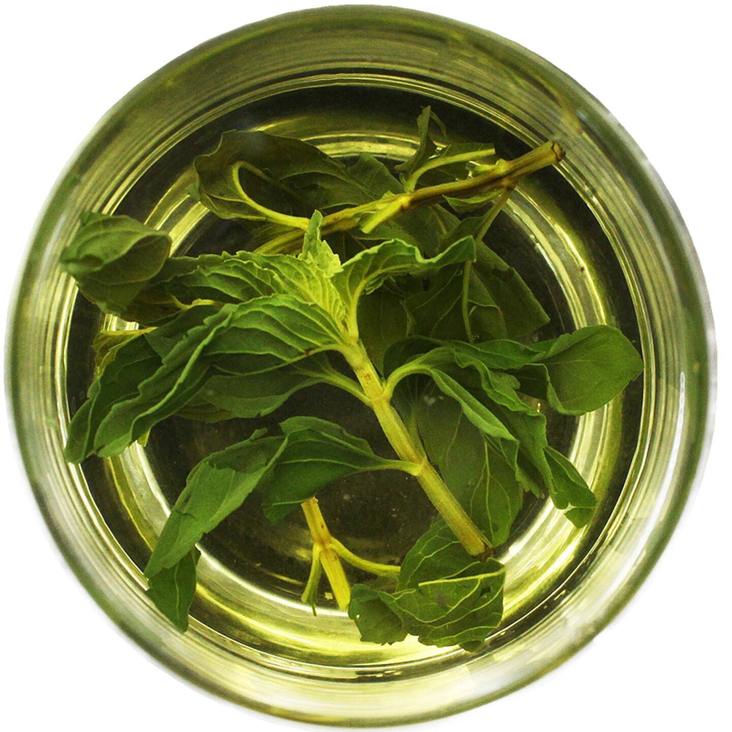 正宗夏日薄荷茶新鲜干薄荷叶茶叶烘焙食用泡水喝的茶新茶散装