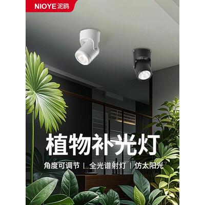 植物EZD太灯全光谱彷阳光照雨林缸室内绿植光合作用植物补生光射