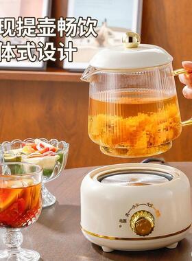 全玻养电生壶办公室小型璃杯23822花茶壶煮茶壶炖迷你多功能养生