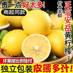 安岳柠檬新鲜水果当季皮薄多汁黄柠檬整箱大果现摘5斤包邮