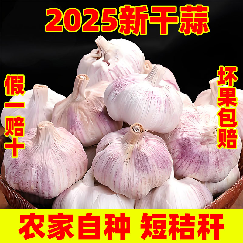 2025新干蒜金乡干蒜短秸秆