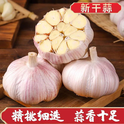 2025新干蒜农家干大蒜头大蒜